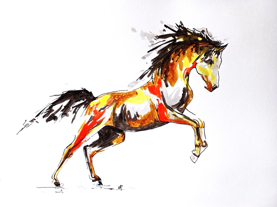 Encre sur papier aquarelle 65x50 cm